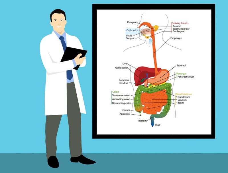 Read more about the article Leading Cancer Institutes Partner To Study Mesothelioma