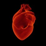 What is a Heart Attack or Myocardial Infarction?