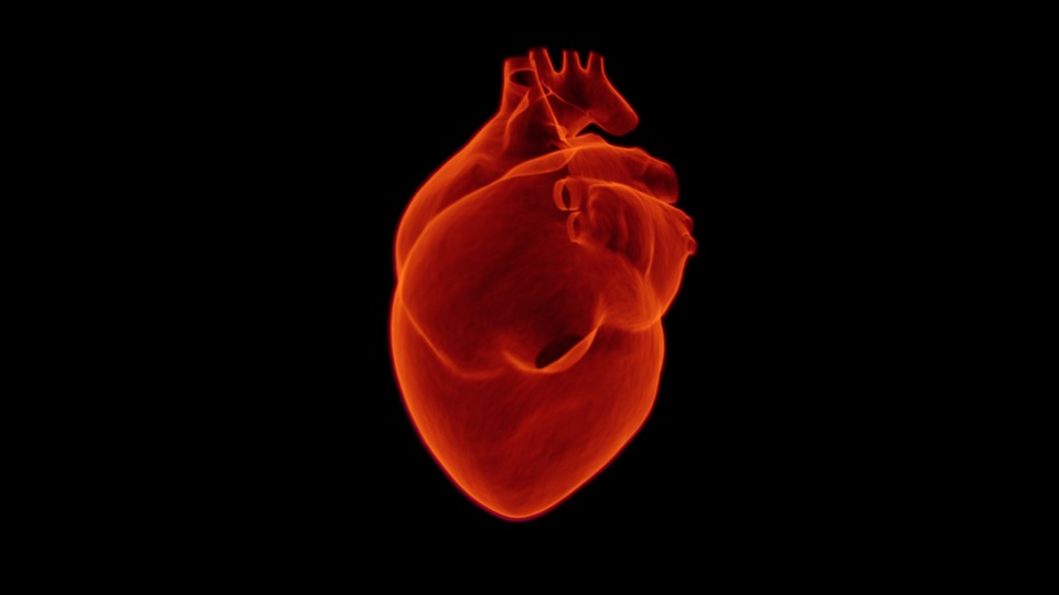 Read more about the article What is a Heart Attack or Myocardial Infarction?