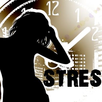 Understanding The Complexity of Your Stress Systems