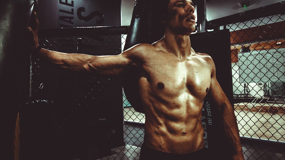 What It Takes to Develop Six Pack Abs