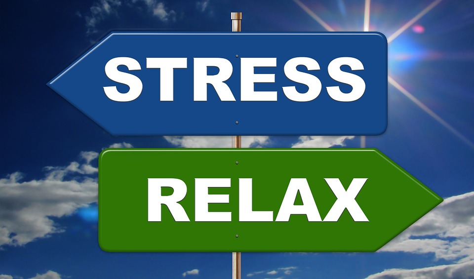 Read more about the article The Devastating Effect of Stress