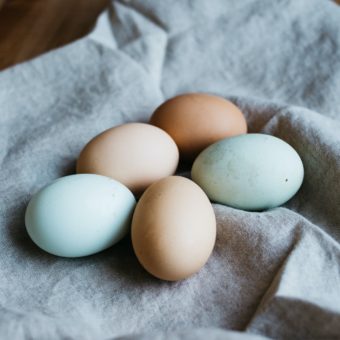 PCOS and Egg Quality: Why You Shouldn't Ignore The Link